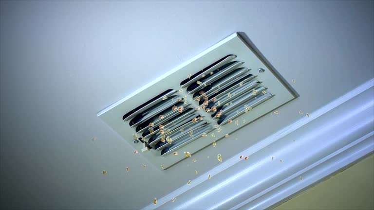 Best Air Vent Cleaning Services  in Fellsmere, FL