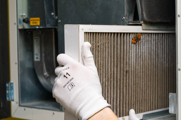 Best Dryer Vent Cleaning Services  in Fellsmere, FL