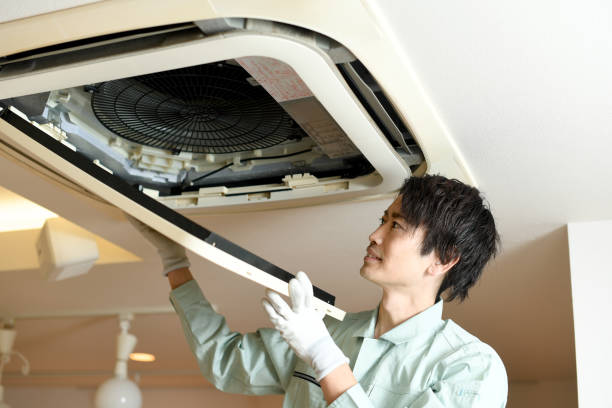 Best Local Air Duct Cleaning Services  in Fellsmere, FL